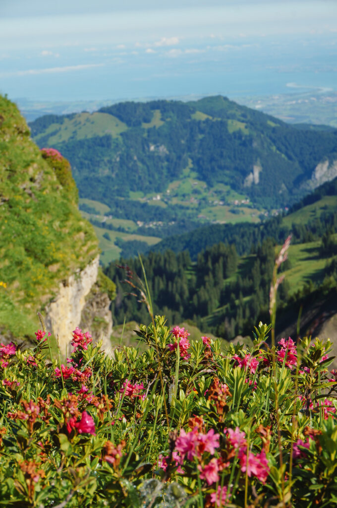 Eindrücke vom Hütten Wochenende
