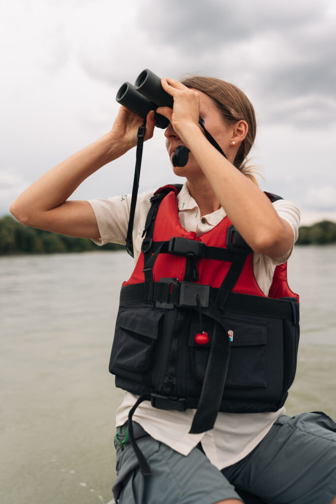 Ranger*innen des Nationalparks Donau-Auen haben ein genaues Auge auf Veränderungen.